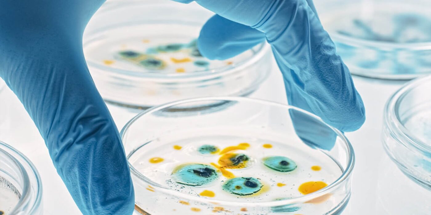 Laboratory technician conducting research and development