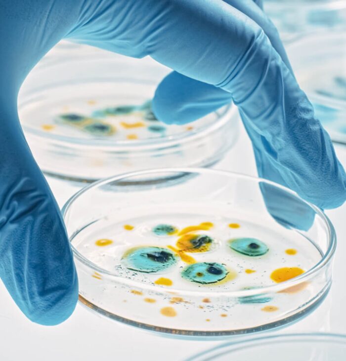 Laboratory technician conducting research and development