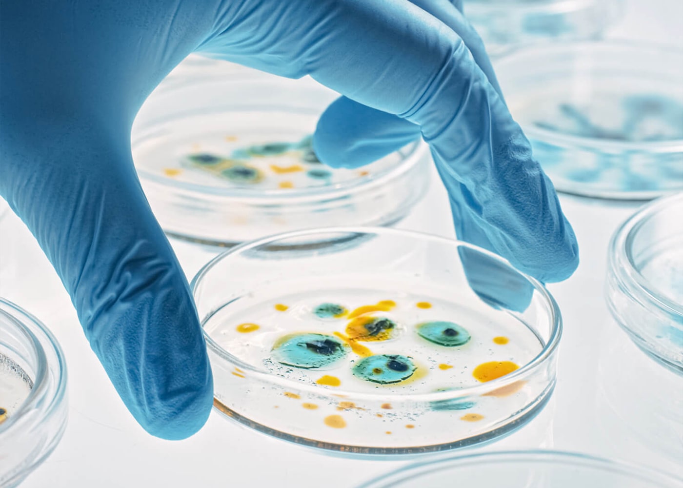 Laboratory technician conducting research and development